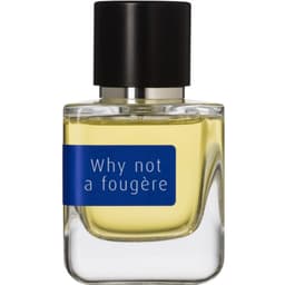 Why Not A Fougère