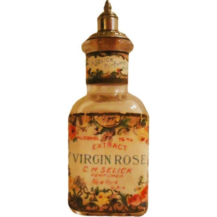 Virgin Rose