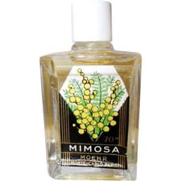 Mimosa