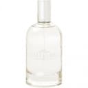 Jasmim Branco / White Jasmine