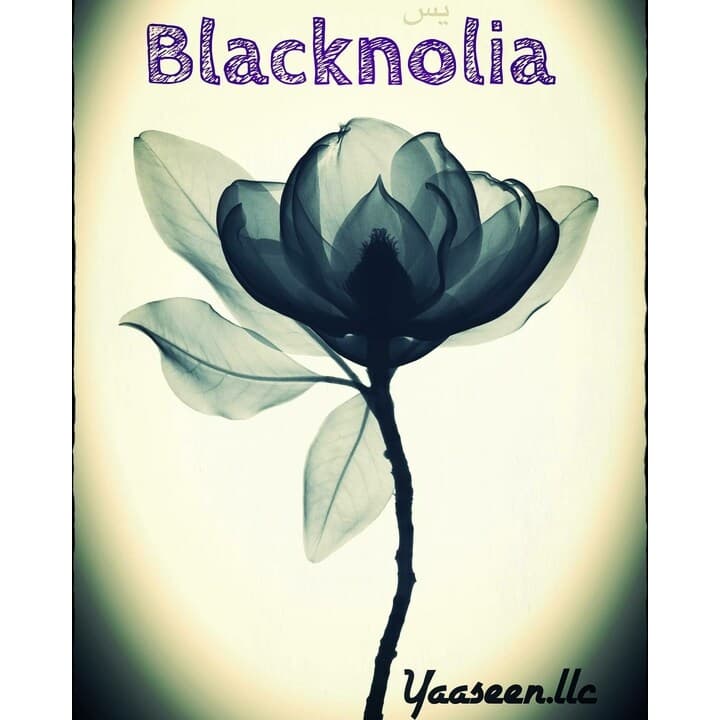 Blacknolia