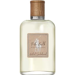 Austral Sandalwood