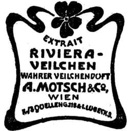 Riviera Veilchen