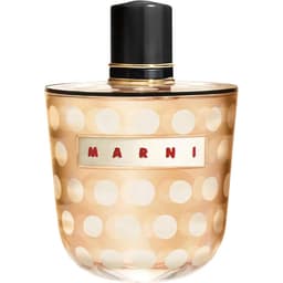 Marni Spice