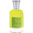 Absolument Absinthe