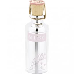 Musc (Perfume Oil)