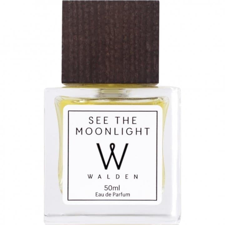 See the Moonlight EDP