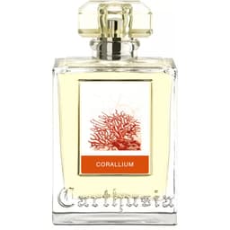 Corallium EDP