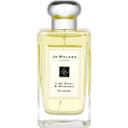 Lime Basil & Mandarin (Cologne)
