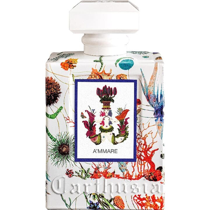 A'mmare by Carthusia perfume bottle