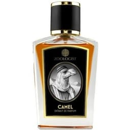 Camel