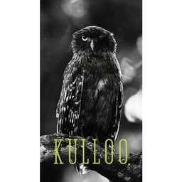 Kulloo