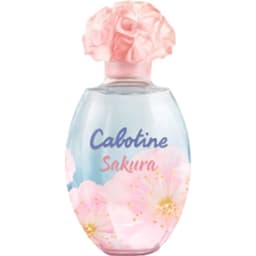 Cabotine Sakura (2019)