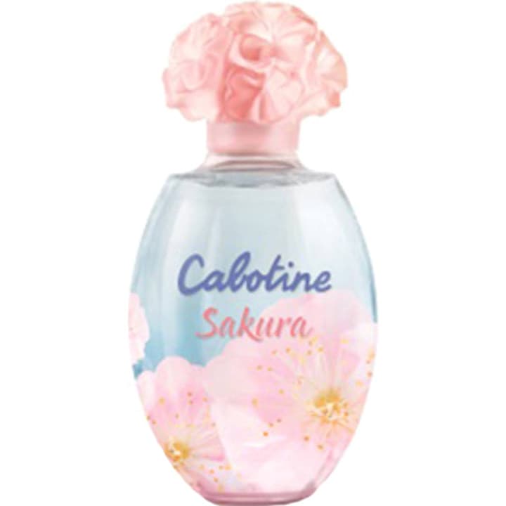 Cabotine Sakura (2019)