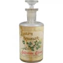 Palestine Clover
