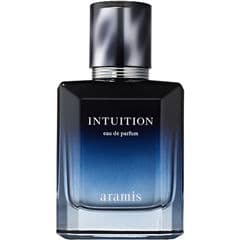 Intuition