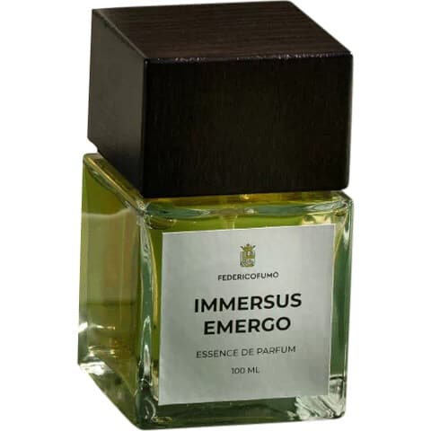 Immersus Emergo