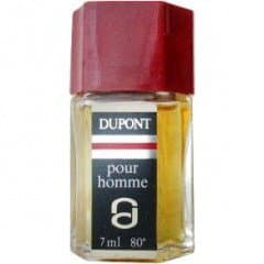 Dupont pour Homme