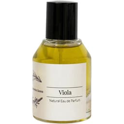 Viola