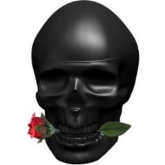 Skulls & Roses for Him