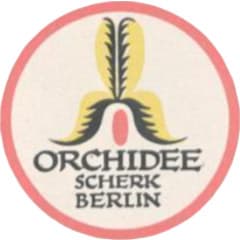 Orchidee