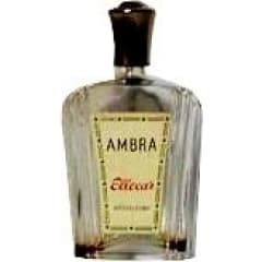 Ambra