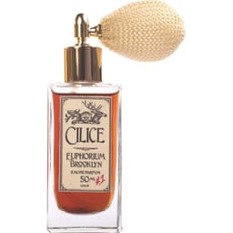 Cilice EDP