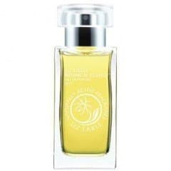 Botanical Essence No.1 by Liz Earle perfume bottle