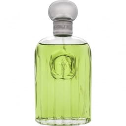 Giorgio for Men EDT