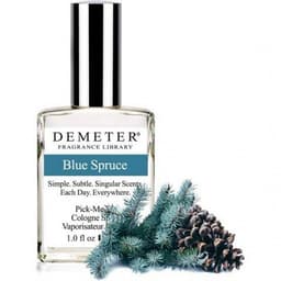 Blue Spruce