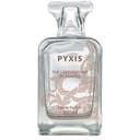 Pyxis - The Lost Fragrance of Pompeii