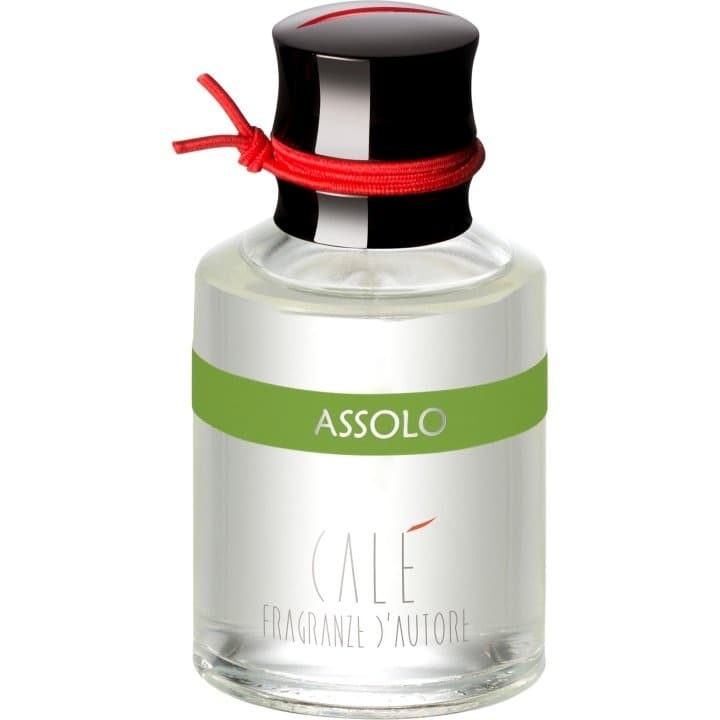 Assolo EDP