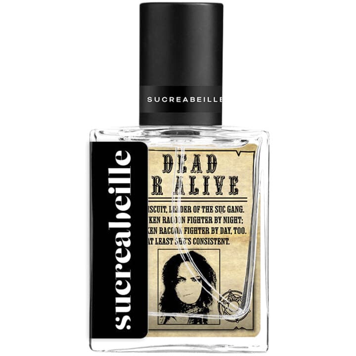 Dead or Alive EDP