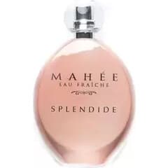 Mahée Eau Fraîche - Splendide