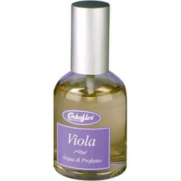 Viola