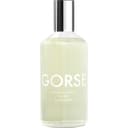 Gorse