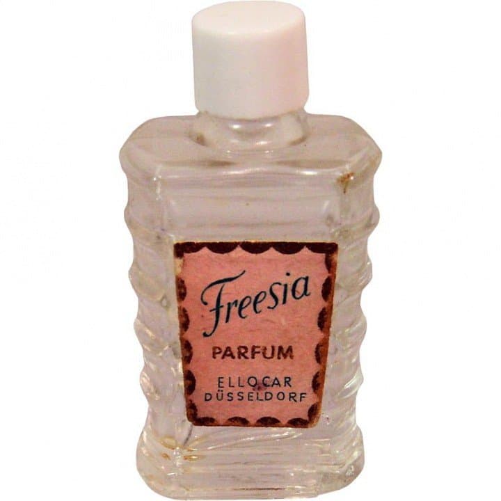 Freesia