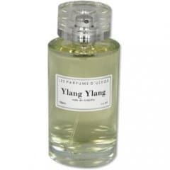 Ylang Ylang