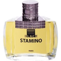 Stamino Black