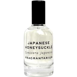 Japanese Honeysuckle